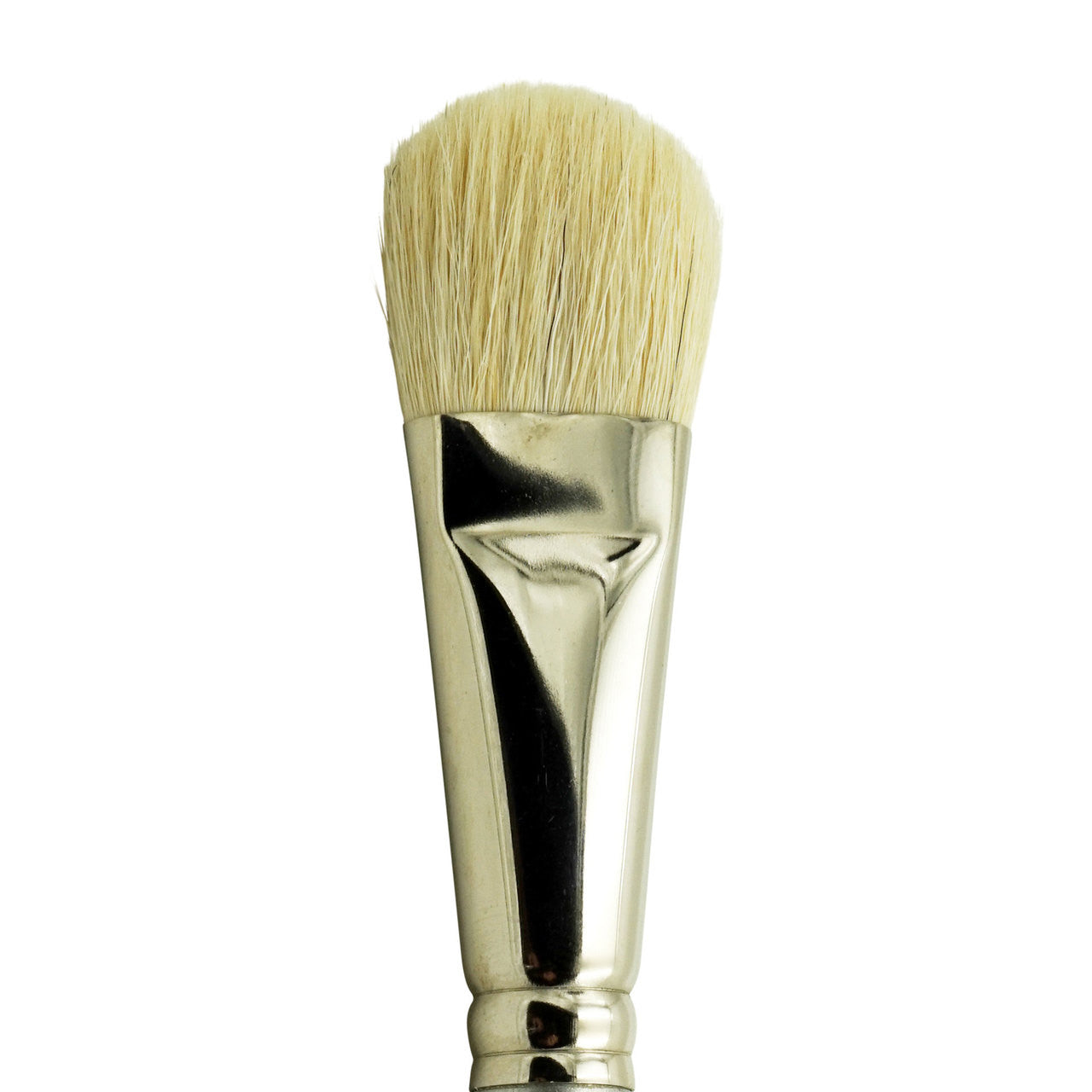Soft White Goat Hair: Mop - 1"