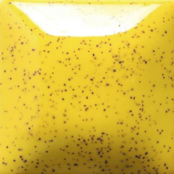 Speckled Sunkissed 8oz: Stroke and Coat