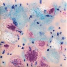 Pink Pixie: Jungle Gems -4oz