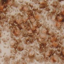 Yadro Print: Jungle Gems -4oz