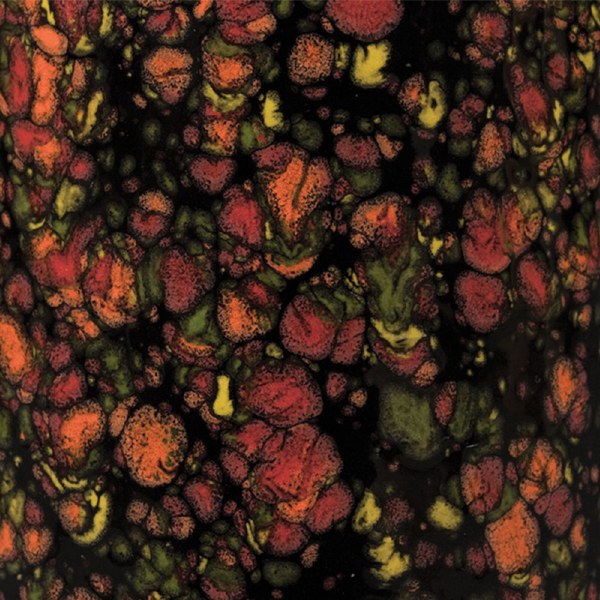 Masquerade: Jungle Gems -4oz