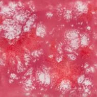 Peppermint Twist: Jungle Gems -4oz