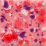 Berry Tart: Jungle Gems -4oz