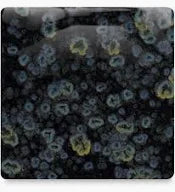 Obsidian: Jungle Gems -4oz