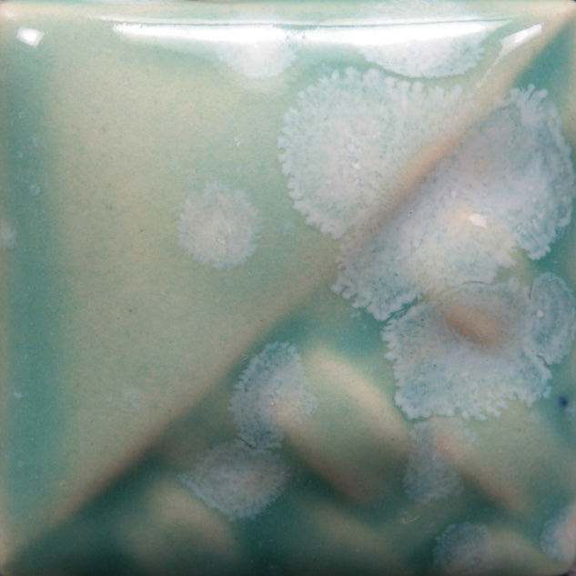 Celadon Bloom: Cone 6 -1 Pint