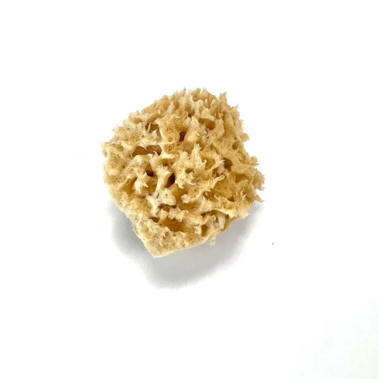 Wool Sea Sponge 3"