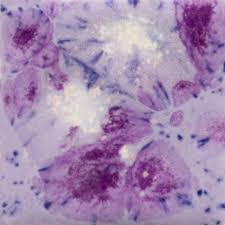 Purple Reign: Jungle Gems -4oz