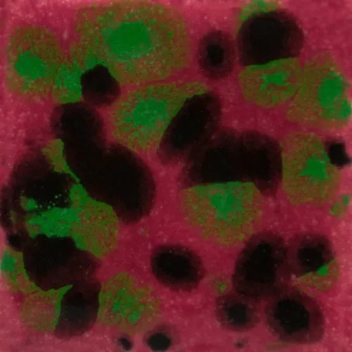 Maroon Lagoon: Jungle Gems -4oz