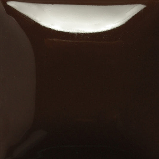 Down To Earth: Stoke and Coat