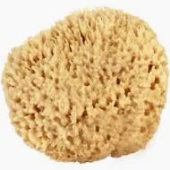 Wool Sea Sponge 3"
